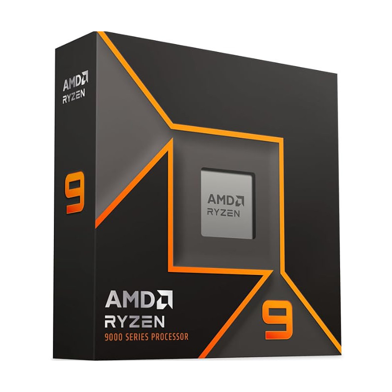 AMD Ryzen 9 9900X