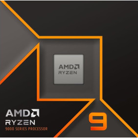 AMD Ryzen 9 9900X